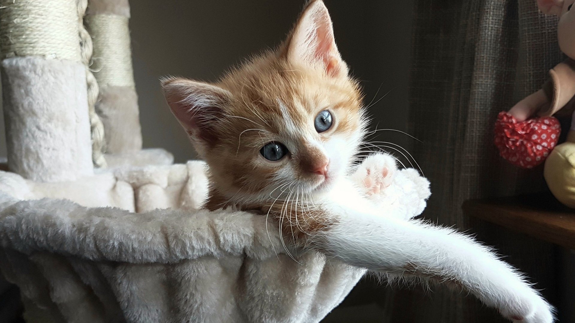 ac米兰体育官网-英超争冠之夜，马丁内利关键回合不手软